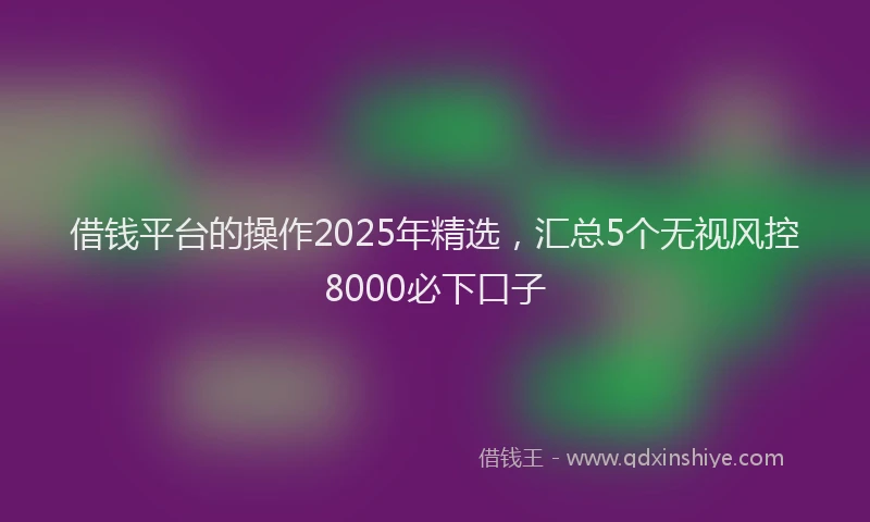 借钱平台的操作2025年精选，汇总5个无视风控8000必下口子