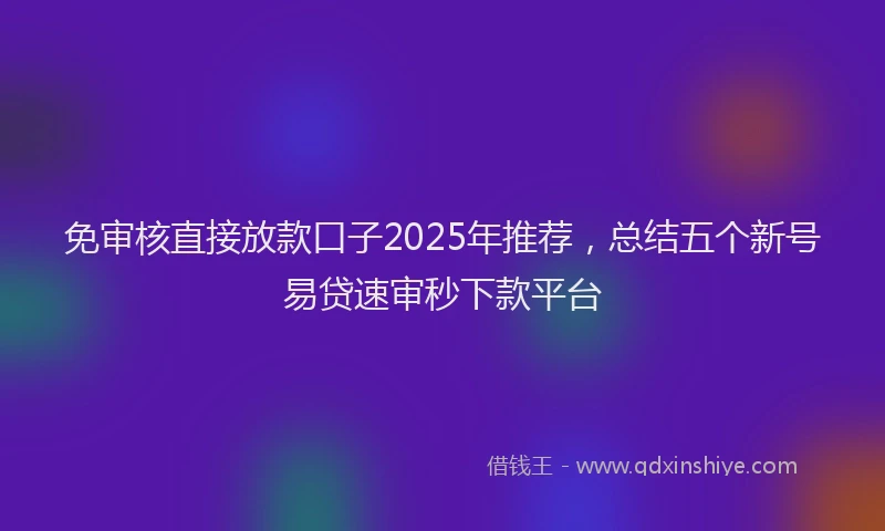免审核直接放款口子2025年推荐，总结五个新号易贷速审秒下款平台