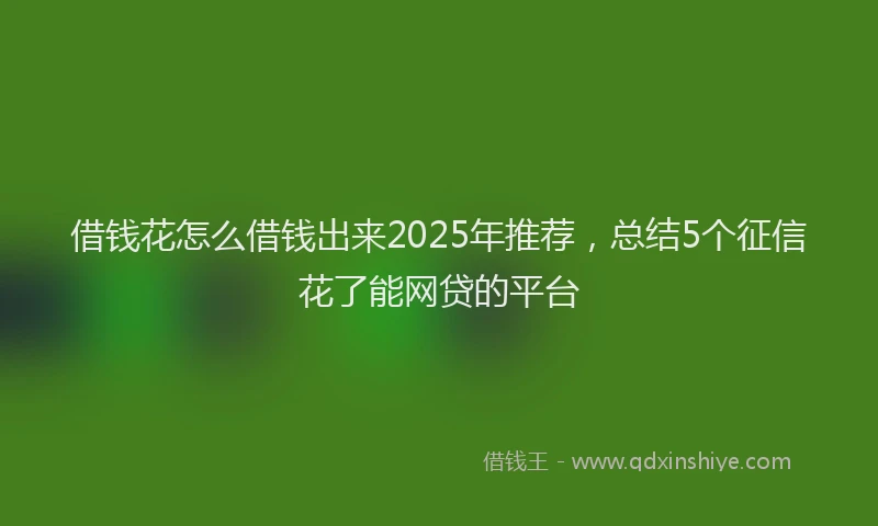 借钱花怎么借钱出来2025年推荐，总结5个征信花了能网贷的平台