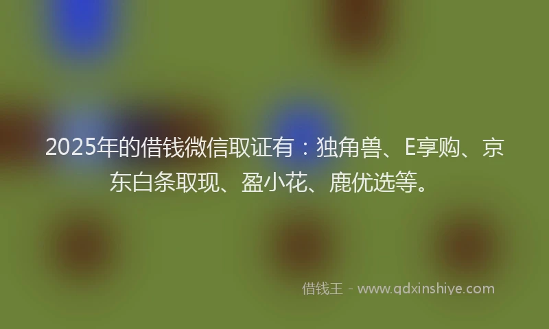 2025年的借钱微信取证有：独角兽、E享购、京东白条取现、盈小花、鹿优选等。