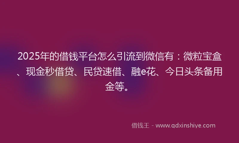 2025年的借钱平台怎么引流到微信有：微粒宝盒、现金秒借贷、民贷速借、融e花、今日头条备用金等。