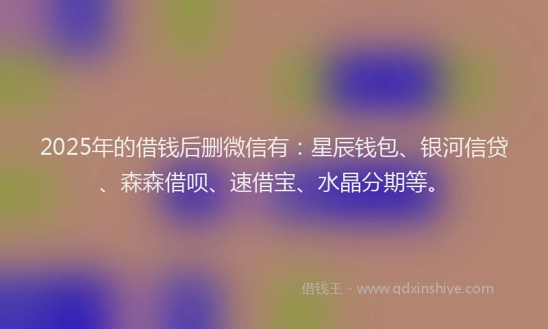 2025年的借钱后删微信有：星辰钱包、银河信贷、森森借呗、速借宝、水晶分期等。