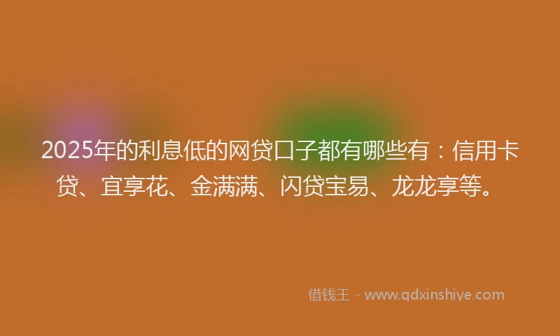 2025年的利息低的网贷口子都有哪些有：信用卡贷、宜享花、金满满、闪贷宝易、龙龙享等。