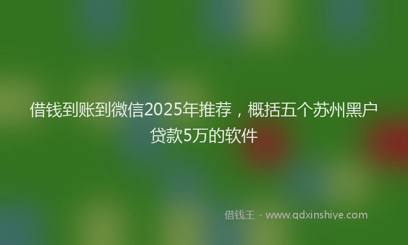 借钱到账到微信2025年推荐，概括五个苏州黑户贷款5万的软件