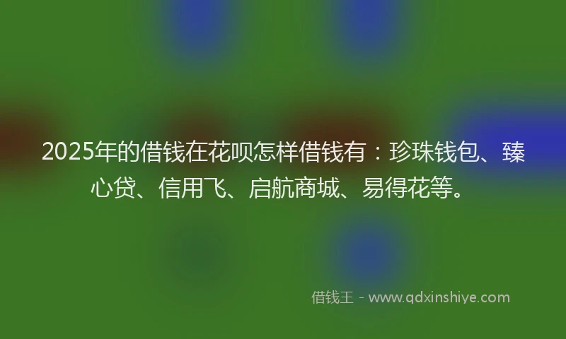 2025年的借钱在花呗怎样借钱有：珍珠钱包、臻心贷、信用飞、启航商城、易得花等。