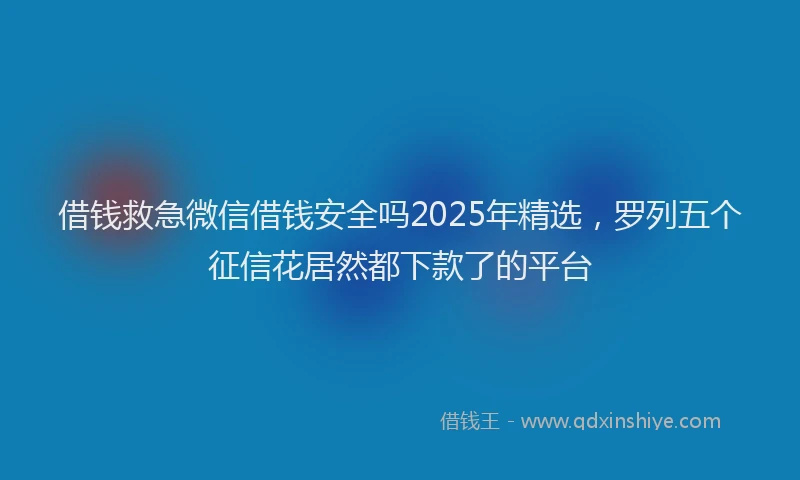 借钱救急微信借钱安全吗2025年精选，罗列五个征信花居然都下款了的平台