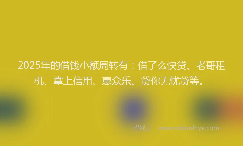 2025年的借钱小额周转有：借了么快贷、老哥租机、掌上信用、惠众乐、贷你无忧贷等。