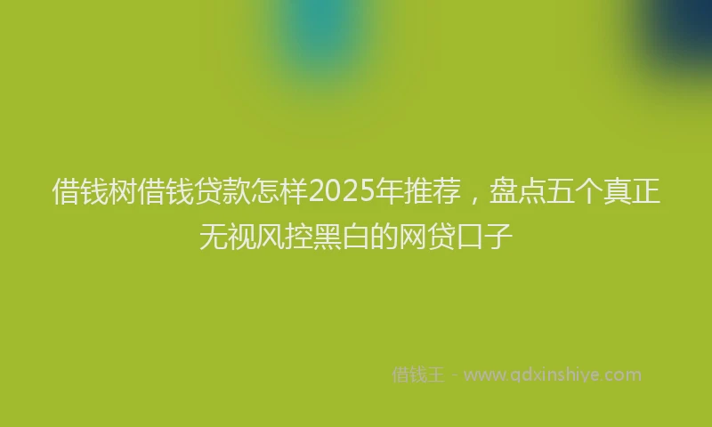 借钱树借钱贷款怎样2025年推荐，盘点五个真正无视风控黑白的网贷口子