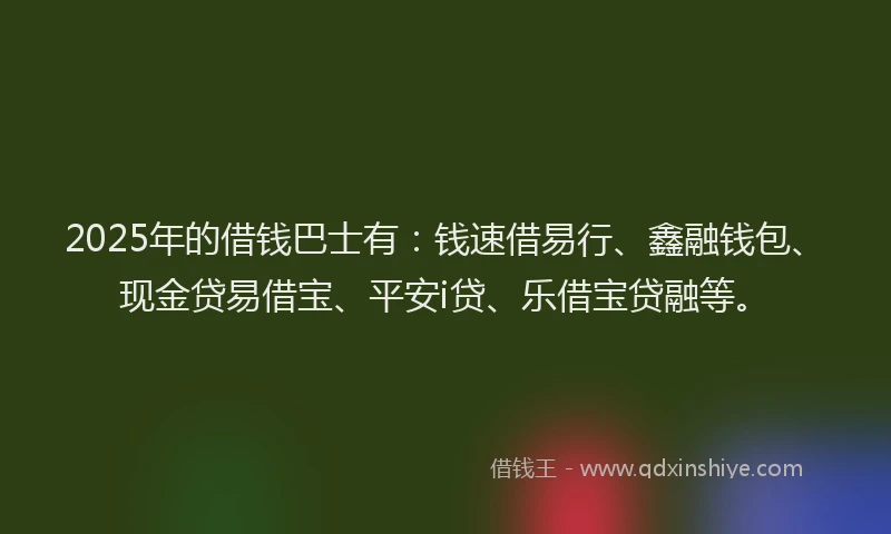 2025年的借钱巴士有：钱速借易行、鑫融钱包、现金贷易借宝、平安i贷、乐借宝贷融等。