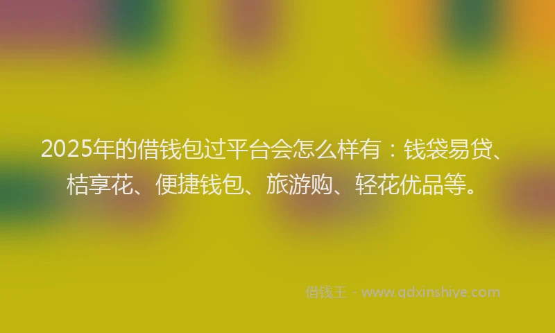 2025年的借钱包过平台会怎么样有：钱袋易贷、桔享花、便捷钱包、旅游购、轻花优品等。
