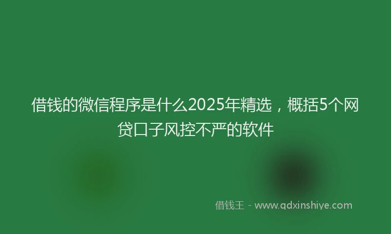 借钱的微信程序是什么2025年精选，概括5个网贷口子风控不严的软件