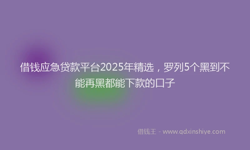 借钱应急贷款平台2025年精选，罗列5个黑到不能再黑都能下款的口子