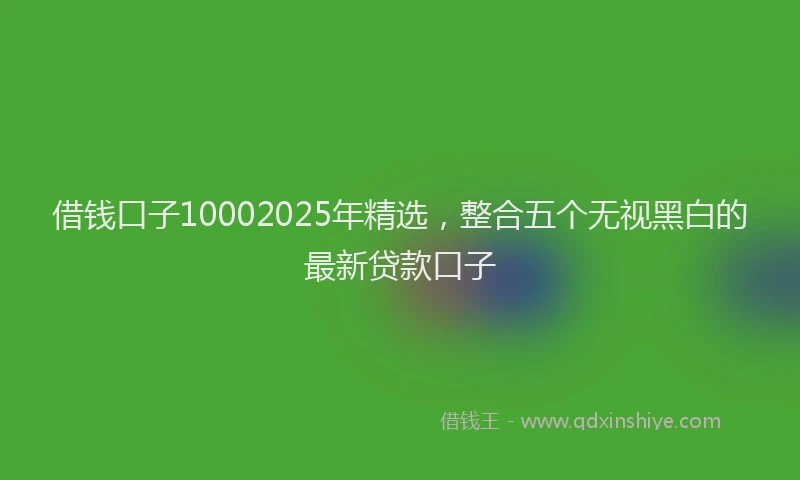 借钱口子10002025年精选，整合五个无视黑白的最新贷款口子