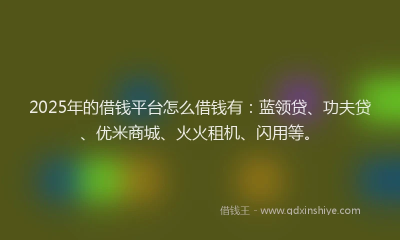 2025年的借钱平台怎么借钱有：蓝领贷、功夫贷、优米商城、火火租机、闪用等。
