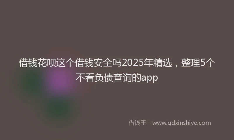 借钱花呗这个借钱安全吗2025年精选，整理5个不看负债查询的app