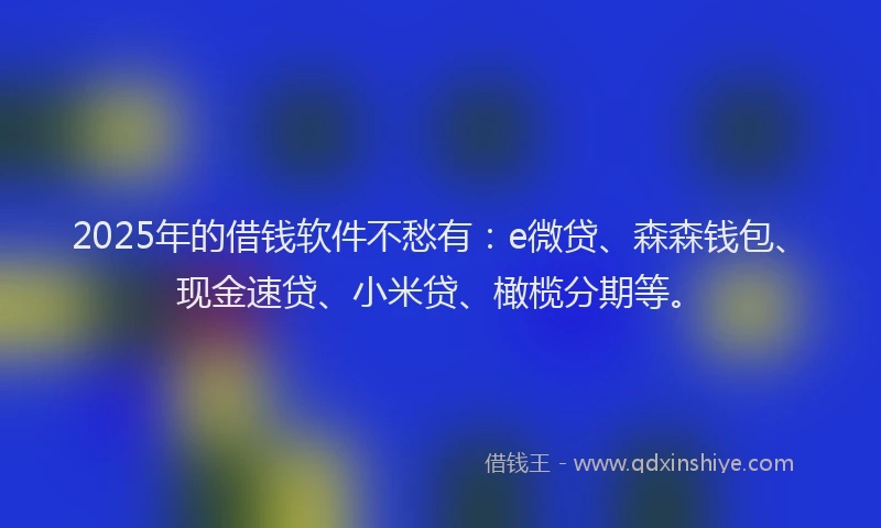 2025年的借钱软件不愁有：e微贷、森森钱包、现金速贷、小米贷、橄榄分期等。