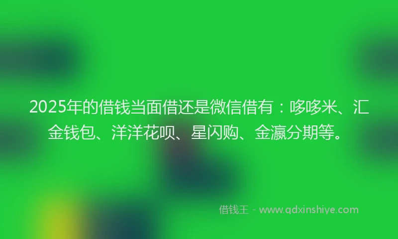 2025年的借钱当面借还是微信借有：哆哆米、汇金钱包、洋洋花呗、星闪购、金瀛分期等。
