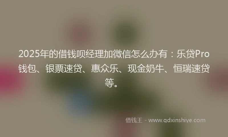 2025年的借钱呗经理加微信怎么办有：乐贷Pro钱包、银票速贷、惠众乐、现金奶牛、恒瑞速贷等。