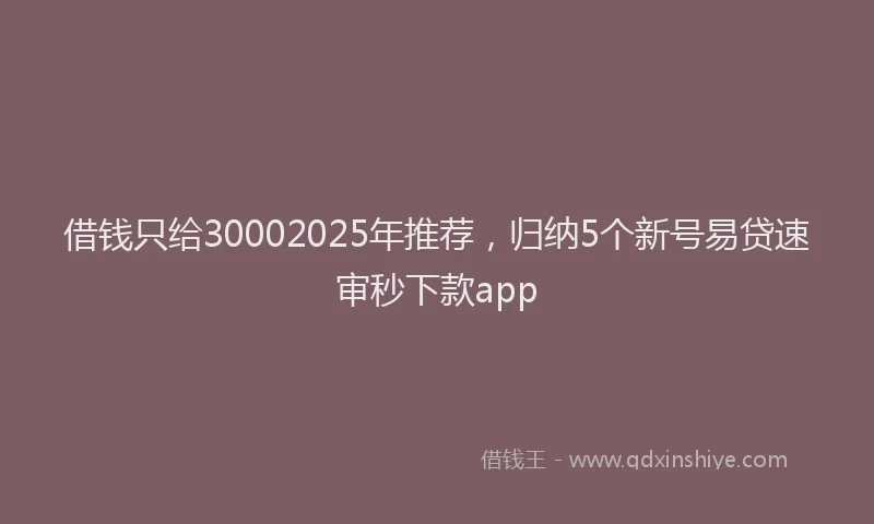 借钱只给30002025年推荐，归纳5个新号易贷速审秒下款app
