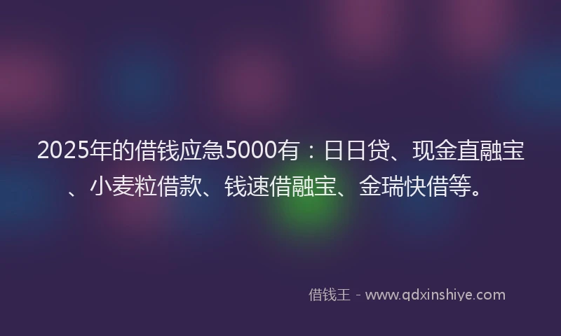 2025年的借钱应急5000有：日日贷、现金直融宝、小麦粒借款、钱速借融宝、金瑞快借等。
