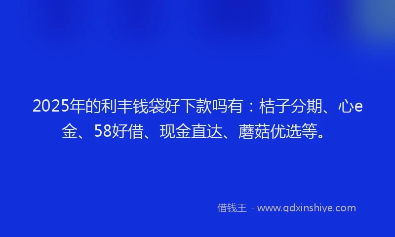 2025年的利丰钱袋好下款吗有：桔子分期、心e金、58好借、现金直达、蘑菇优选等。