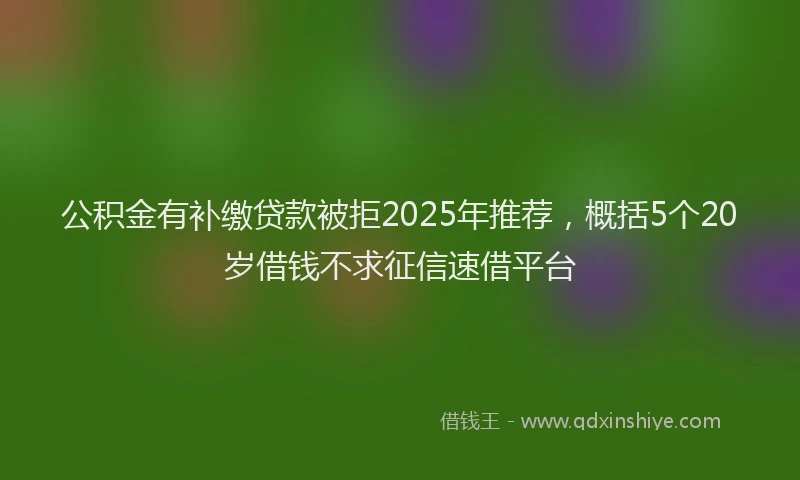 公积金有补缴贷款被拒2025年推荐，概括5个20岁借钱不求征信速借平台