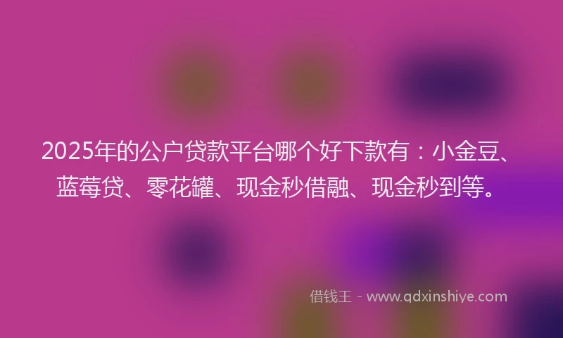 2025年的公户贷款平台哪个好下款有：小金豆、蓝莓贷、零花罐、现金秒借融、现金秒到等。
