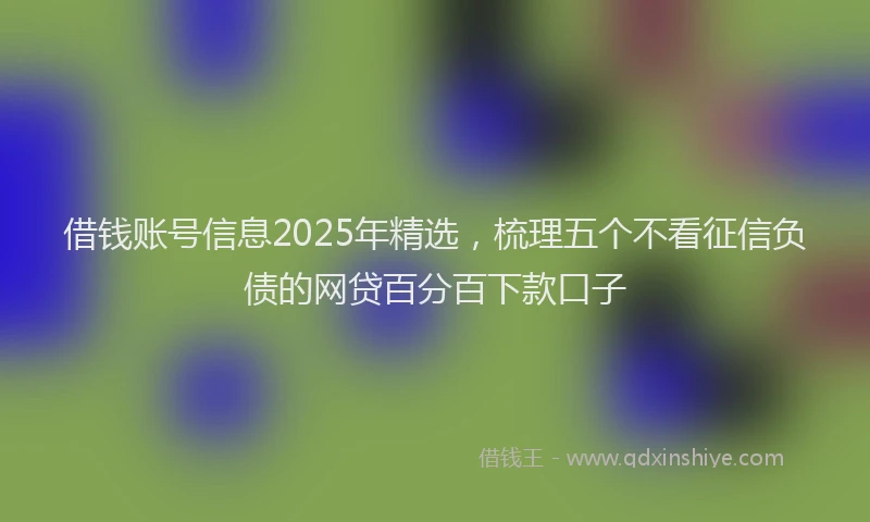 借钱账号信息2025年精选，梳理五个不看征信负债的网贷百分百下款口子
