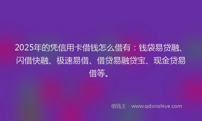 2025年的凭信用卡借钱怎么借有：钱袋易贷融、闪借快融、极速易借、借贷易融贷宝、现金贷易借等。