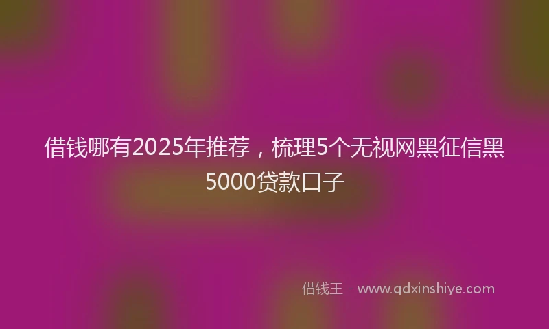 借钱哪有2025年推荐，梳理5个无视网黑征信黑5000贷款口子