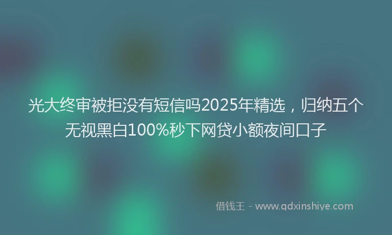 光大终审被拒没有短信吗2025年精选，归纳五个无视黑白100%秒下网贷小额夜间口子
