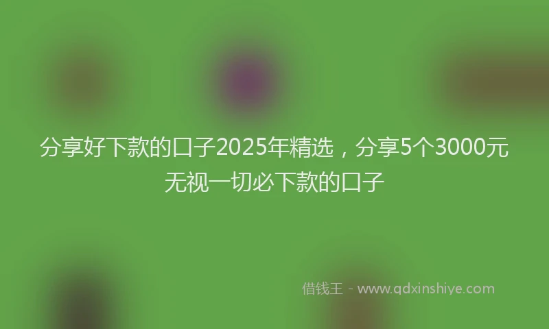 分享好下款的口子2025年精选，分享5个3000元无视一切必下款的口子