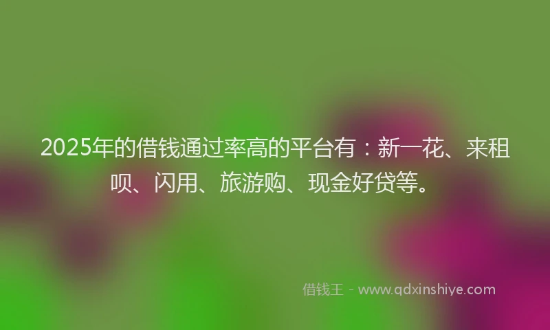 2025年的借钱通过率高的平台有：新一花、来租呗、闪用、旅游购、现金好贷等。