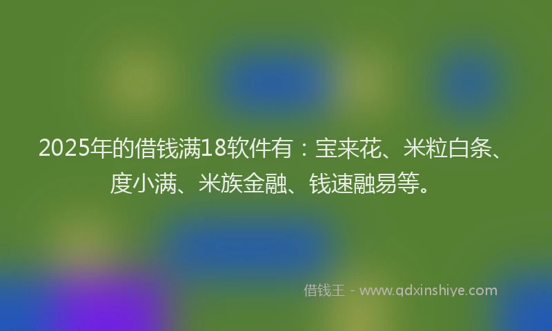 2025年的借钱满18软件有：宝来花、米粒白条、度小满、米族金融、钱速融易等。