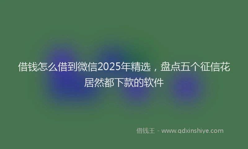 借钱怎么借到微信2025年精选，盘点五个征信花居然都下款的软件