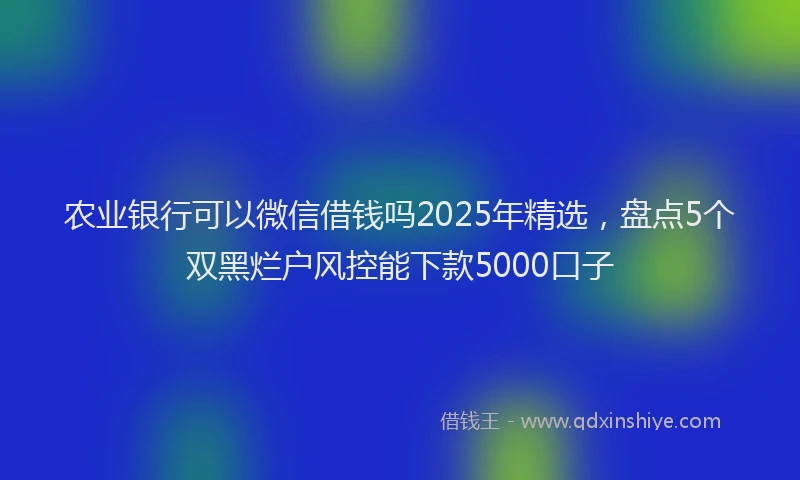 农业银行可以微信借钱吗2025年精选，盘点5个双黑烂户风控能下款5000口子