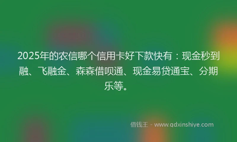 2025年的农信哪个信用卡好下款快有：现金秒到融、飞融金、森森借呗通、现金易贷通宝、分期乐等。