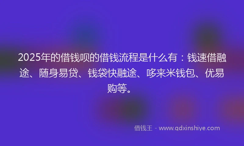 2025年的借钱呗的借钱流程是什么有：钱速借融途、随身易贷、钱袋快融途、哆来米钱包、优易购等。