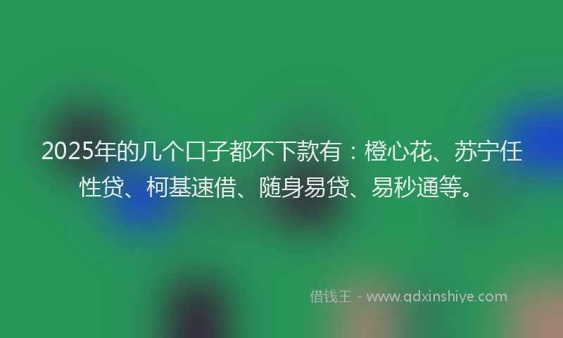 2025年的几个口子都不下款有：橙心花、苏宁任性贷、柯基速借、随身易贷、易秒通等。