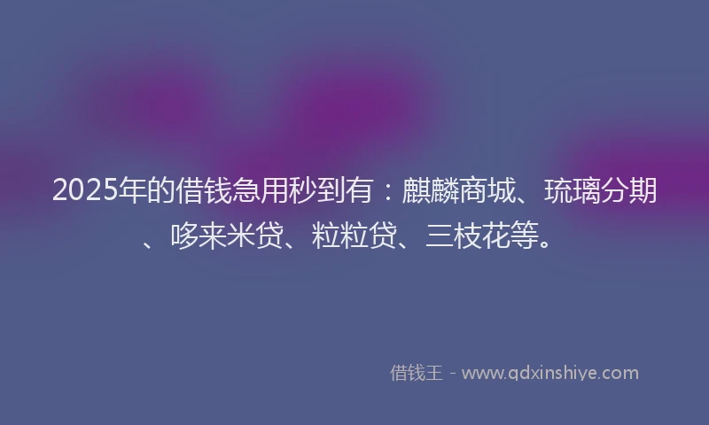 2025年的借钱急用秒到有：麒麟商城、琉璃分期、哆来米贷、粒粒贷、三枝花等。