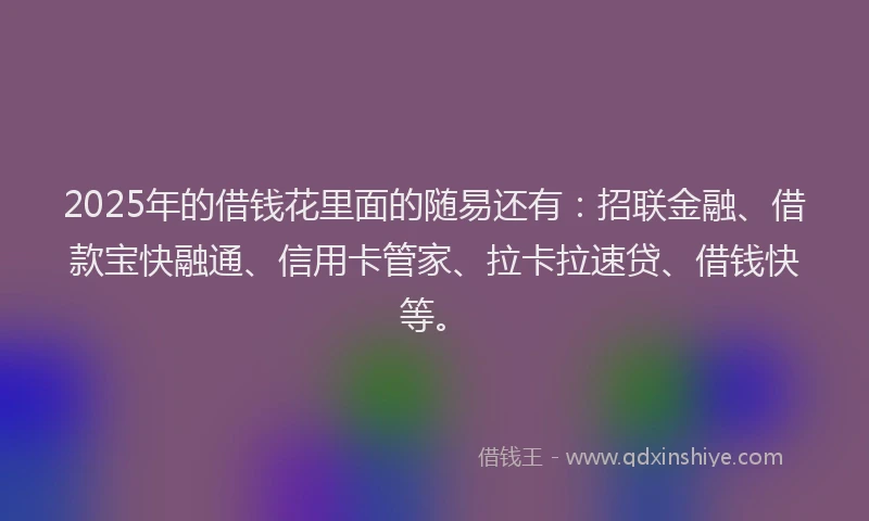 2025年的借钱花里面的随易还有：招联金融、借款宝快融通、信用卡管家、拉卡拉速贷、借钱快等。
