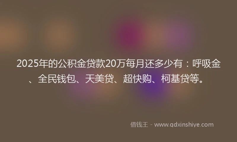 2025年的公积金贷款20万每月还多少有：呼吸金、全民钱包、天美贷、超快购、柯基贷等。