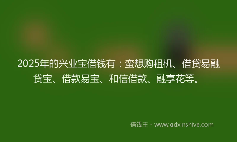 2025年的兴业宝借钱有：蛮想购租机、借贷易融贷宝、借款易宝、和信借款、融享花等。