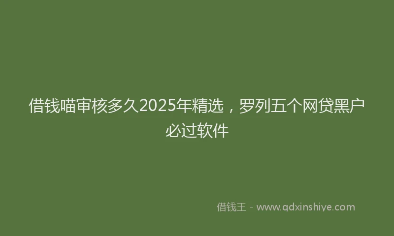 借钱喵审核多久2025年精选，罗列五个网贷黑户必过软件