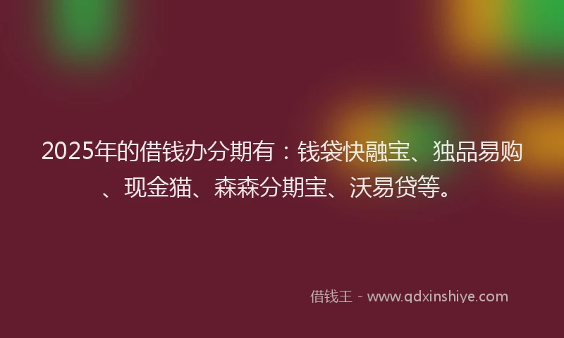 2025年的借钱办分期有：钱袋快融宝、独品易购、现金猫、森森分期宝、沃易贷等。