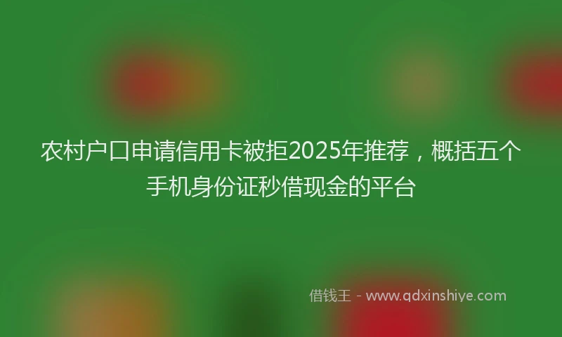 农村户口申请信用卡被拒2025年推荐，概括五个手机身份证秒借现金的平台