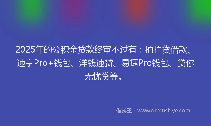 2025年的公积金贷款终审不过有：拍拍贷借款、速享Pro+钱包、洋钱速贷、易捷Pro钱包、贷你无忧贷等。