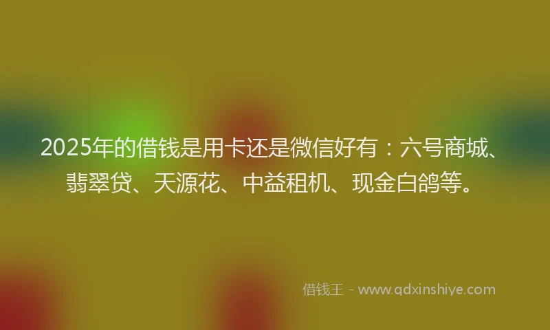 2025年的借钱是用卡还是微信好有：六号商城、翡翠贷、天源花、中益租机、现金白鸽等。