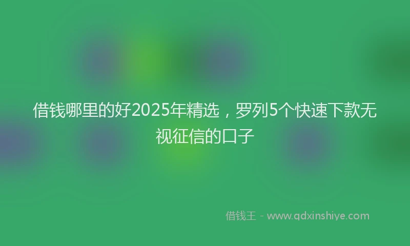 借钱哪里的好2025年精选，罗列5个快速下款无视征信的口子