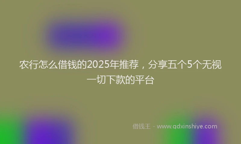 农行怎么借钱的2025年推荐，分享五个5个无视一切下款的平台